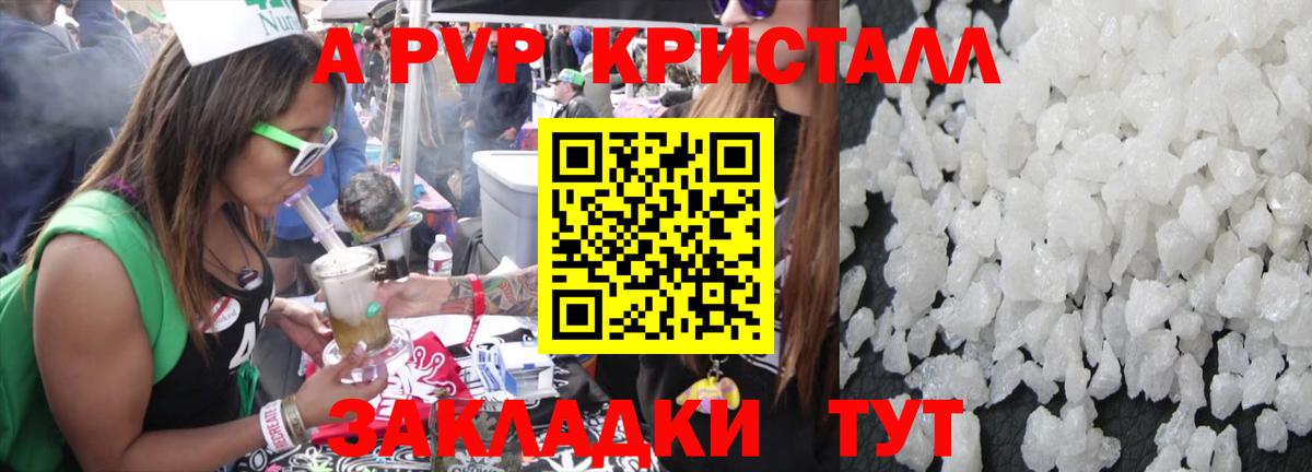 A PVP СК Новозыбков