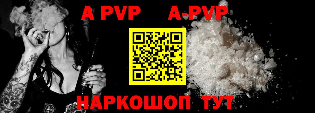 Alfa_PVP СК Новозыбков