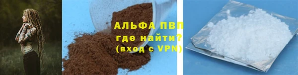 прущие грибы Новокубанск