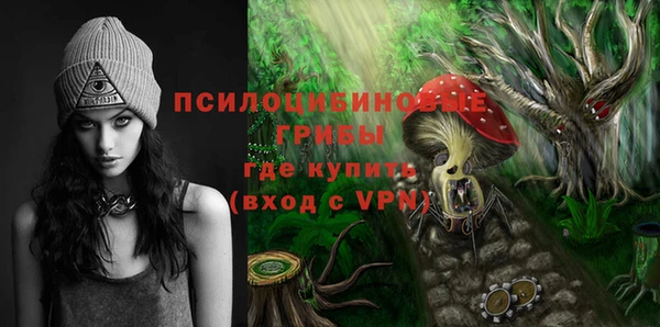 mix Новодвинск