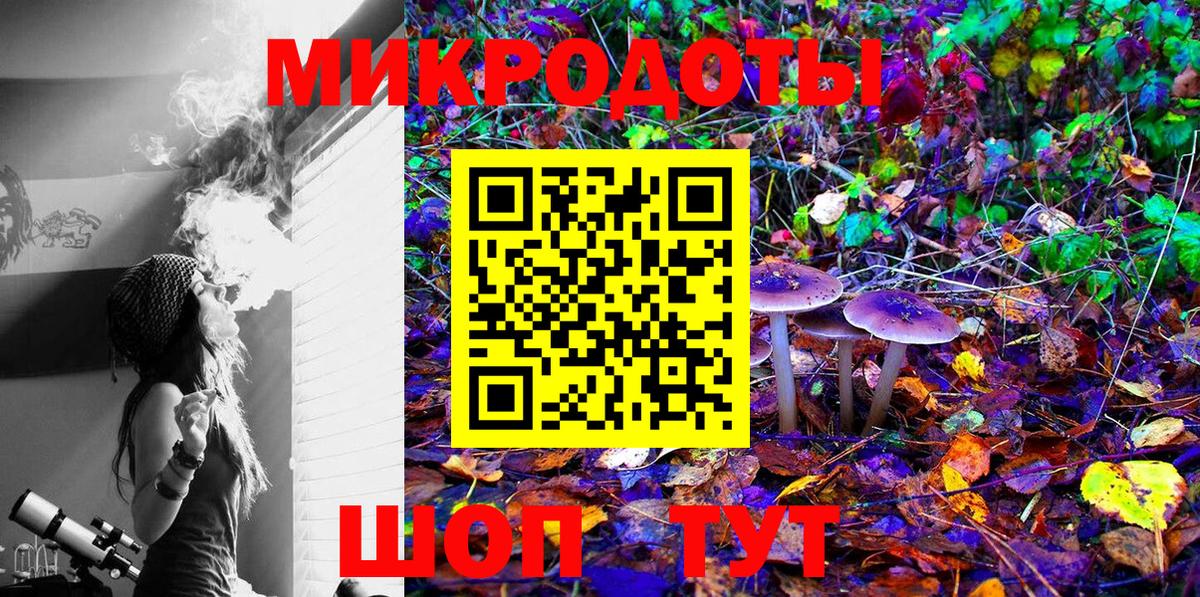 Галлюциногенные грибы Psilocybe Новозыбков