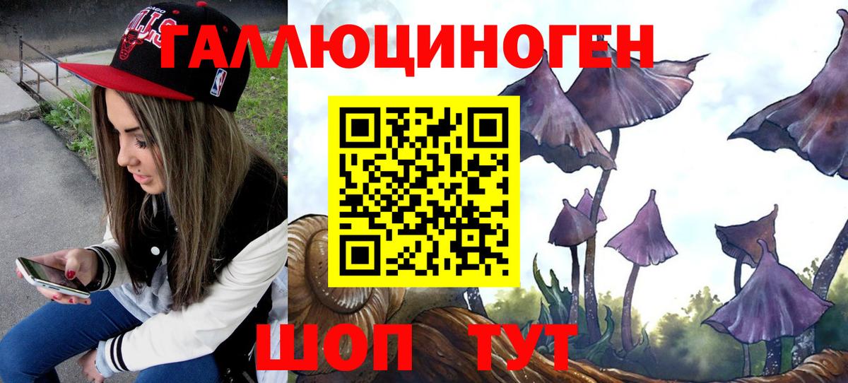 Новозыбков  Псилоцибиновые грибы Psilocybine cubensis  Вход с VPN  Галлюциногенные грибы прущие грибы 
